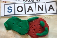 20220401_112903_resized