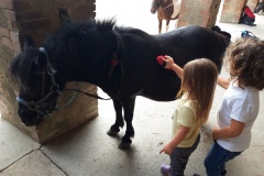 20210617_105916_resized