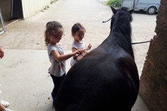 20210617_105926_resized