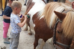 20210617_110023_resized