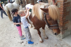 20210617_110045_resized