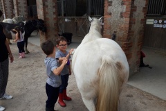 20210617_110105_resized