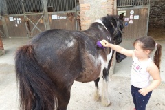 20210617_110114_resized