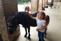 20210617_110224_resized_1