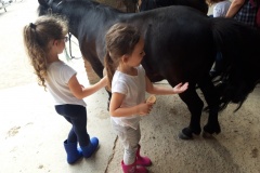 20210617_110252_resized