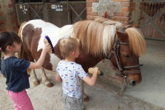 20210617_110332_resized