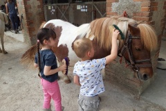 20210617_110336_resized