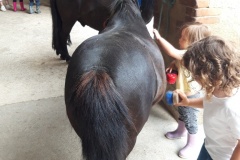 20210617_110444_resized