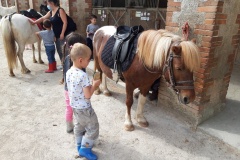 20210617_110637_resized