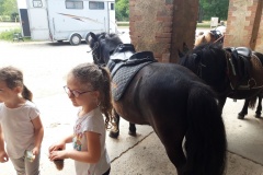 20210617_110803_resized