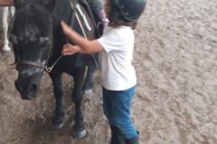 20210617_113741_resized