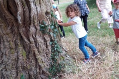 20210617_141119_resized