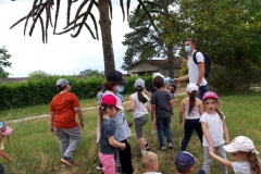 20210617_150738_resized