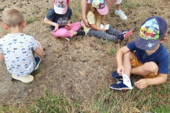 20210617_151252_resized